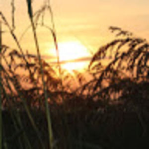 Meet your Posher, Makenna